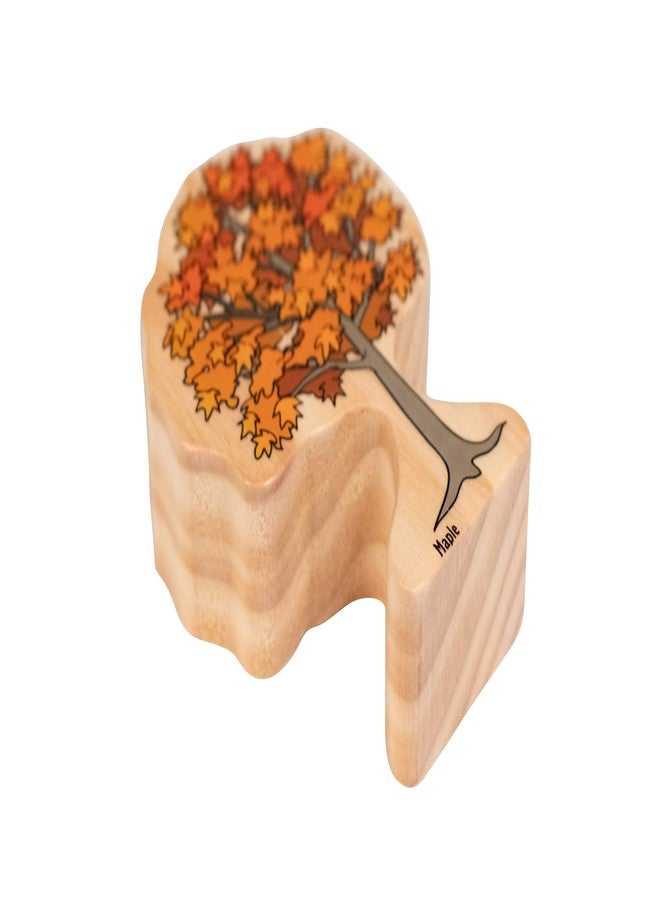 The Freckled FROG-FF472 Trees of All Seasons - Set of 10 - Ages 2+ - Wooden Tree Blocks for Toddlers - Includes Different Tree Species in Winter, Summer, Autumn and Spring - Double-Sided - Image 4